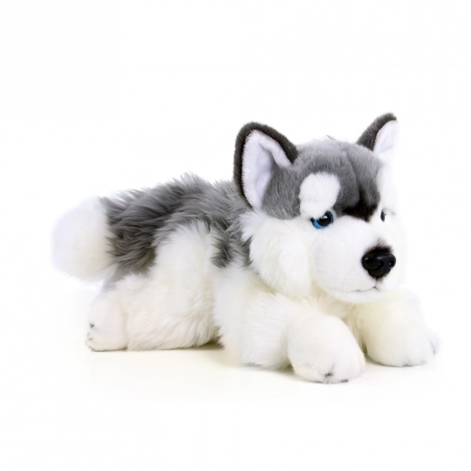 Plush Husky Dog 30 cm Eco-Friendly