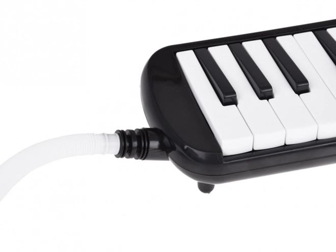 Musical Instrument 32-Key Melodica with Case