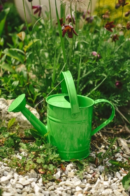 Green Metal Watering Can