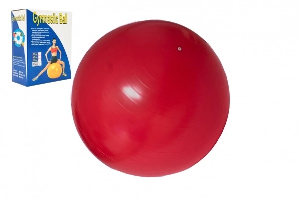 Rehabilitative Relaxation Gym Ball