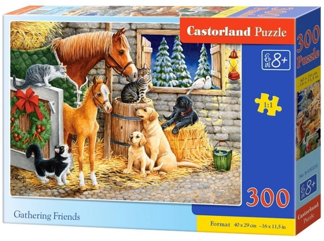 300 Piece Puzzle Gathering Friends