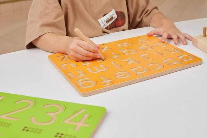 Wooden Shape Learning Board