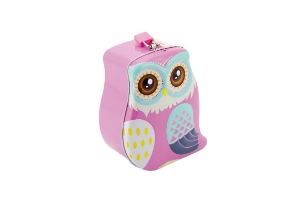 Metal Owl Money Box with Lock