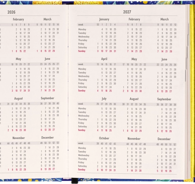 Diario magnetico settimanale Limone 2026
