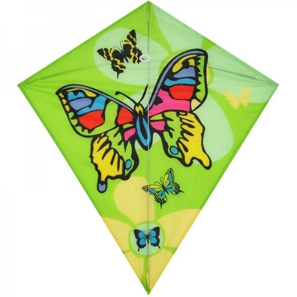 Colorful Flying Kite