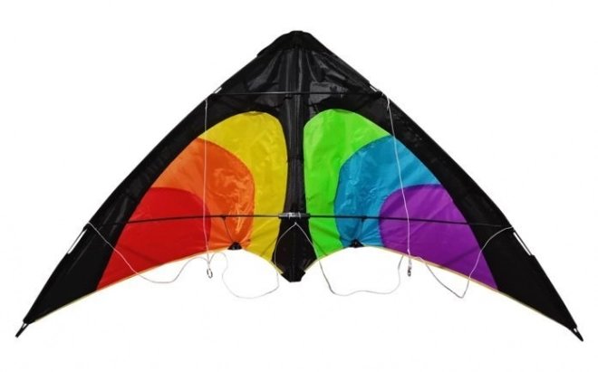 Large Rainbow Kite