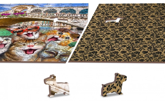 wooden puzzle kittens in venice 2-in-1