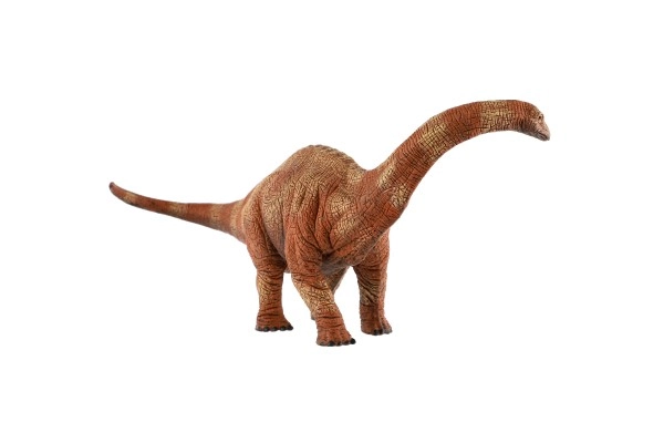 Giocattolo educativo per piccoli paleontologi