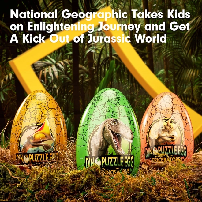 National Geographic Stegosaurus Double-Sided Puzzle Egg