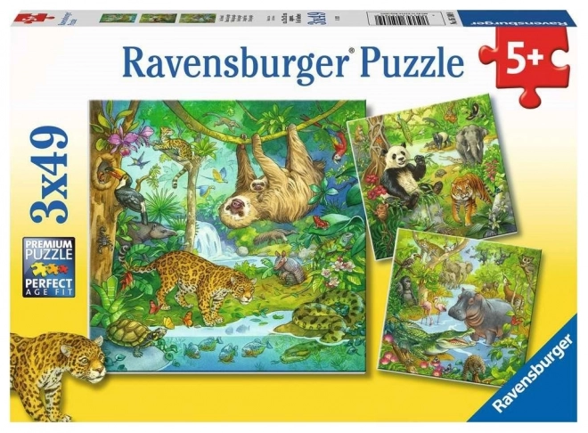 Jungle Animals Puzzle Set