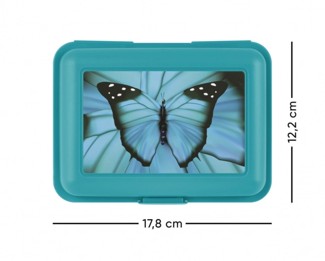 Butterfly Lunch Box