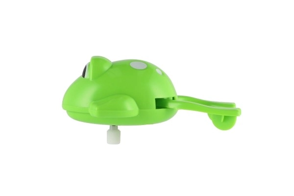 Wind-up Water Frog Toy