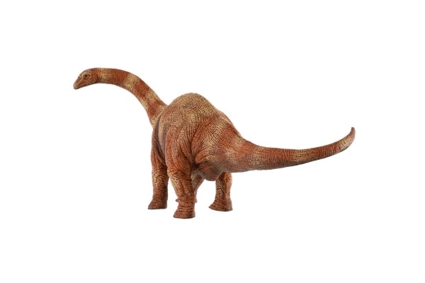 Apatosaurus Toy Figure 30cm