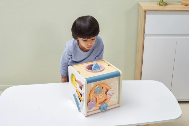 8-in-1 Wooden Activity Cube