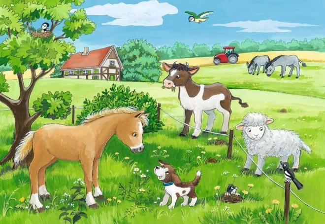 Ravensburger Puzzle Animal Babies Set