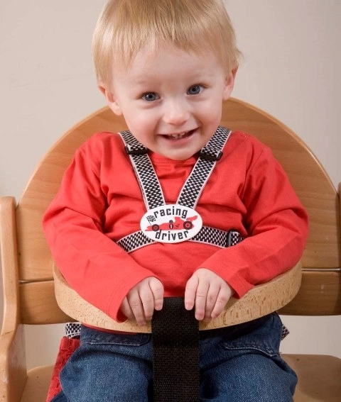 Child Safety Harness Ladybird