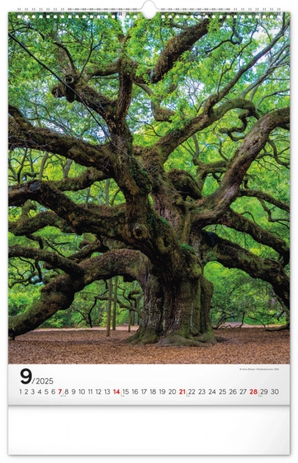 Wall Calendar Trees 2025