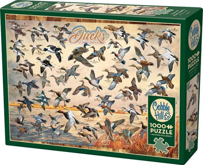 North American Ducks Puzzle 1000 Pieces