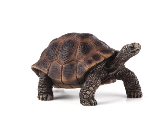 Realistic Giant Tortoise Figurine