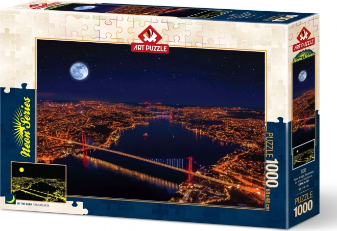 Glow in the Dark Puzzle Three Bridges, Bosporus 1000 Pieces