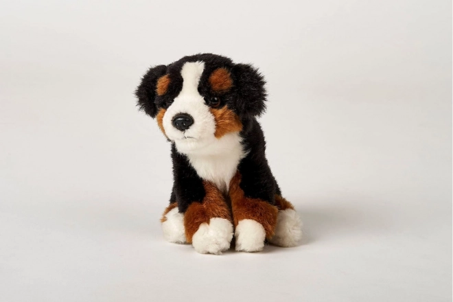 Plush Bernese Mountain Dog Toy