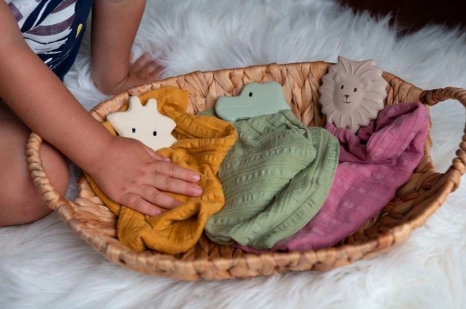 Doudou Teether Blanket