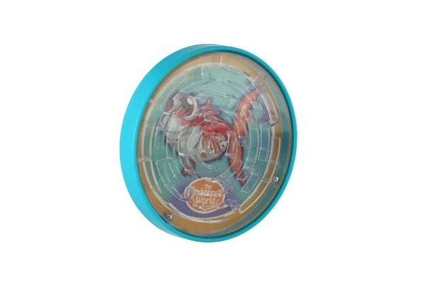 Maze Puzzle Ball Ocean World