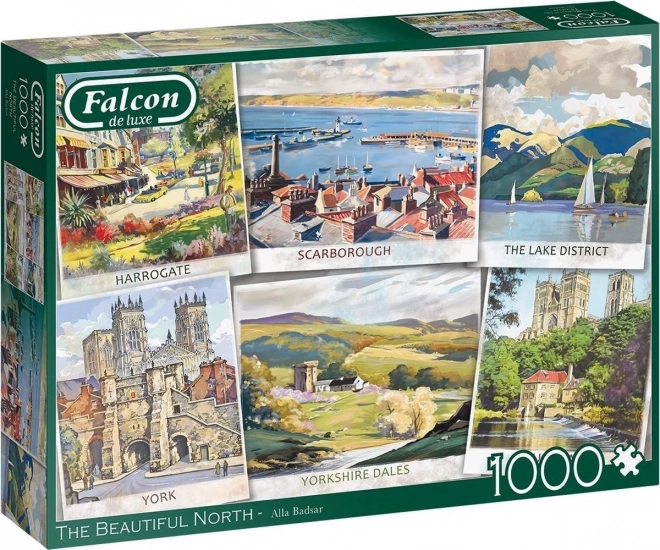 Falcon Northern Beauty Puzzle 1000 Pieces