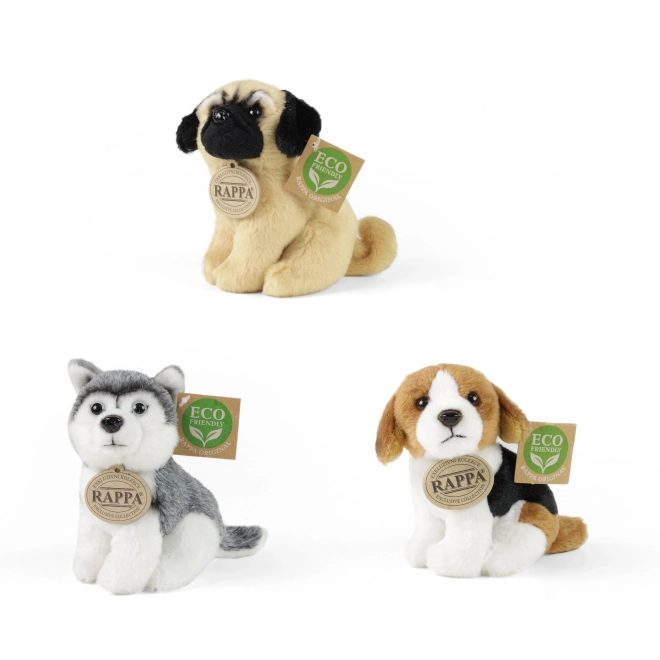 Exclusive Plush Dogs and Cats Eco-Friendly Display