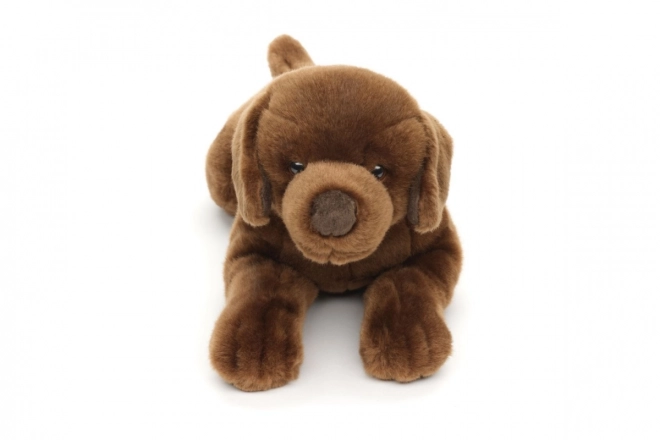 Eco-Friendly Plush Labrador Toy