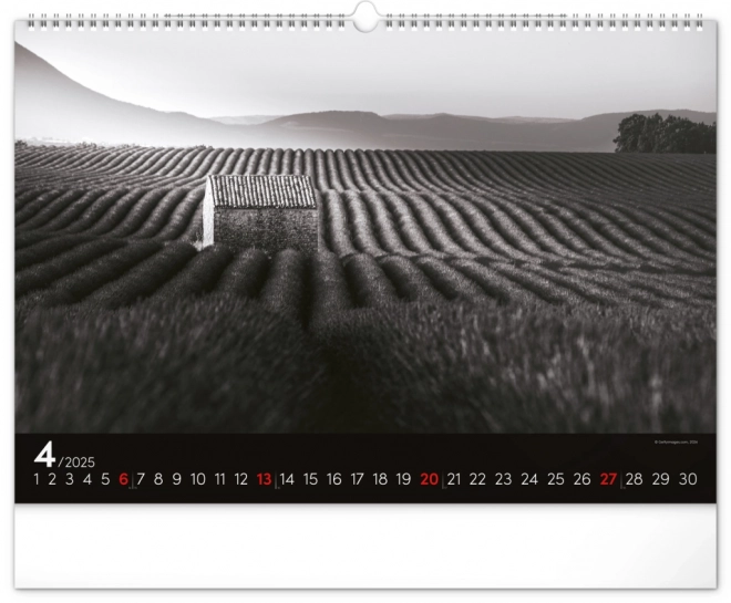 Notique wall calendar dreamy landscape 2025