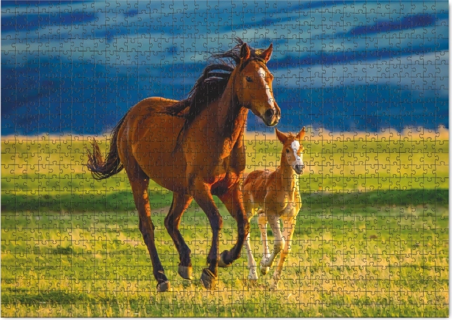 Horse Foal Rearing Jigsaw Puzzle 1000 Pieces