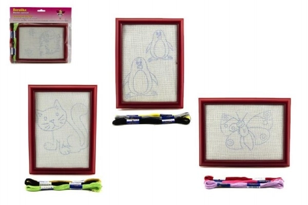 Embroidery Kit with Frame