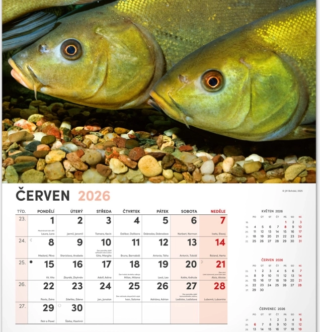 Calendrier mural de pêche 2026