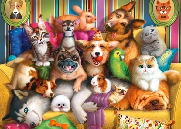 Playful Pets Puzzle