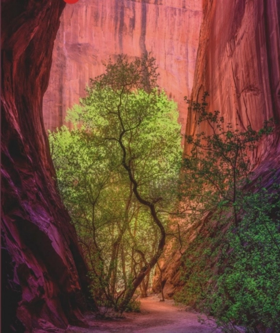 Heye Puzzle Power of Nature: Singing Canyon 1000 Pieces