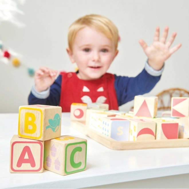 Multifunctional Wooden Alphabet Blocks by Le Toy Van