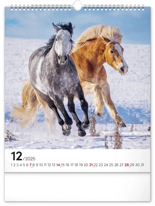 Wall Calendar Horses 2025