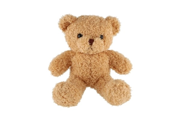 Plush Teddy Bear 30cm Curly Beige