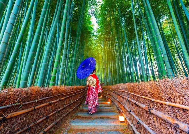 ENJOY Asian Woman in Bamboo Forest Puzzle