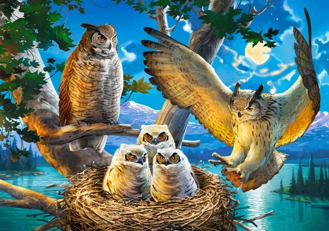 Owl Family Puzzle 500 Pieces