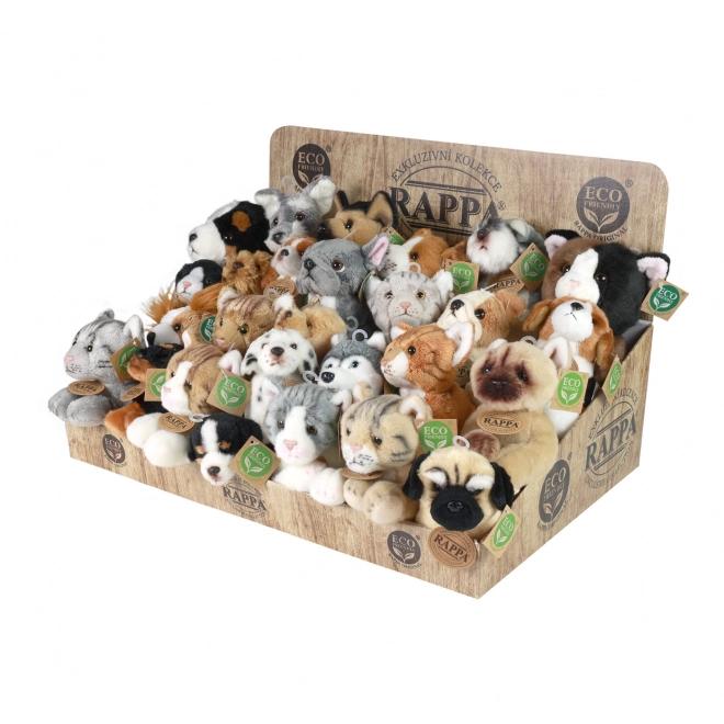 Exclusive Plush Dogs and Cats Eco-Friendly Display