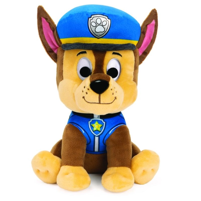 Detailed police uniform