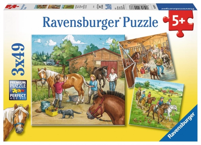 Ravensburger Horses Puzzle Set