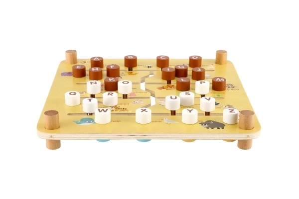 Wooden Educational Maze and Puzzle Board 2-in-1