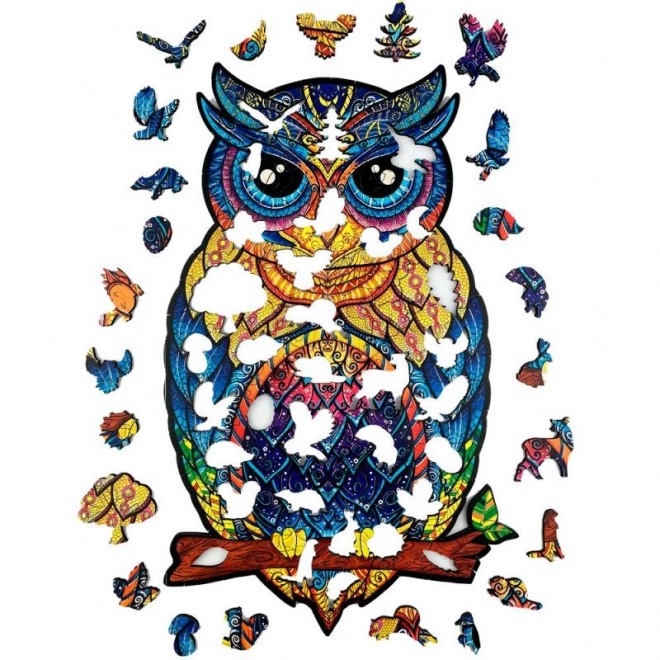 Charming Owl Wooden Color Puzzle