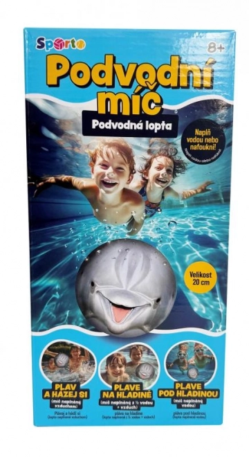 Underwater Dolphin Ball