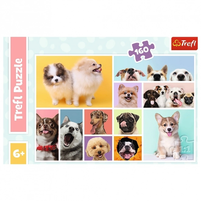 Dog Friendship Puzzle