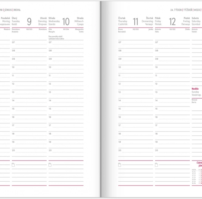 Weekly Diary Blue 2026