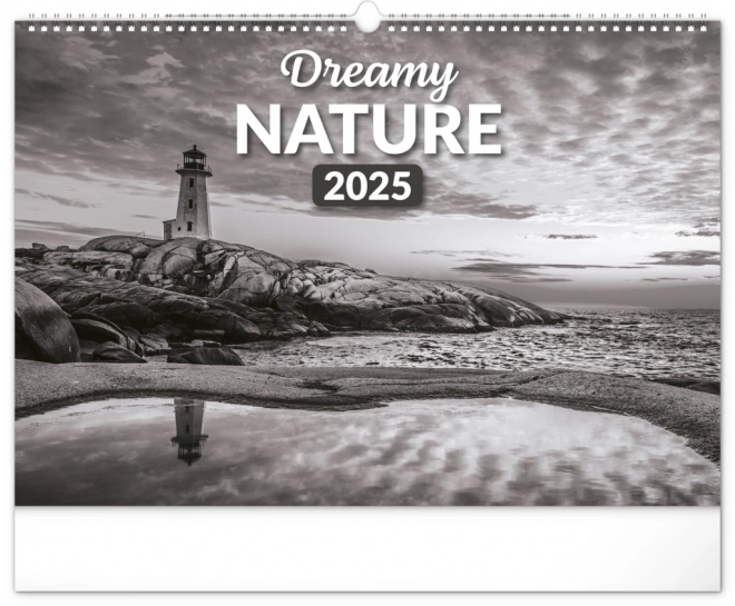 Notique wall calendar dreamy landscape 2025